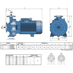     Pedrollo FG 65/200A