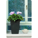   () Keter Rattan Planter M 55,4L,  