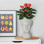   () Idealist Face Planter  (ANT-FP-W-WHT-27)