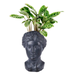   () Idealist Face Planter  (ANT-FP-W-BLK-27)