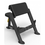   Spirit Fitness SP-4206 ( )